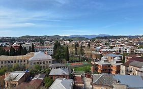 Hotel Panoramic